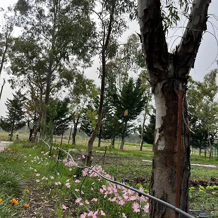 Laguna Park Wood Apartamento